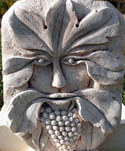 cabinet de curiosités